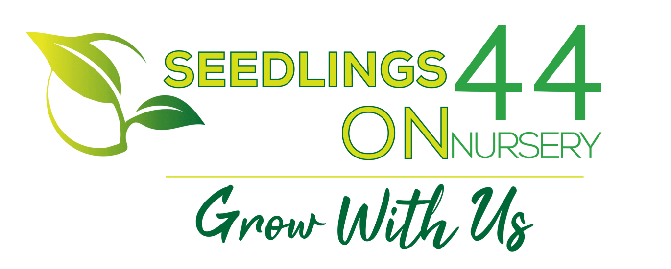 cropped-Seedlings-Logo-Redraw-2nd - Copy