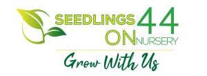 cropped-Seedlings-Logo-Redraw-2nd - Copy
